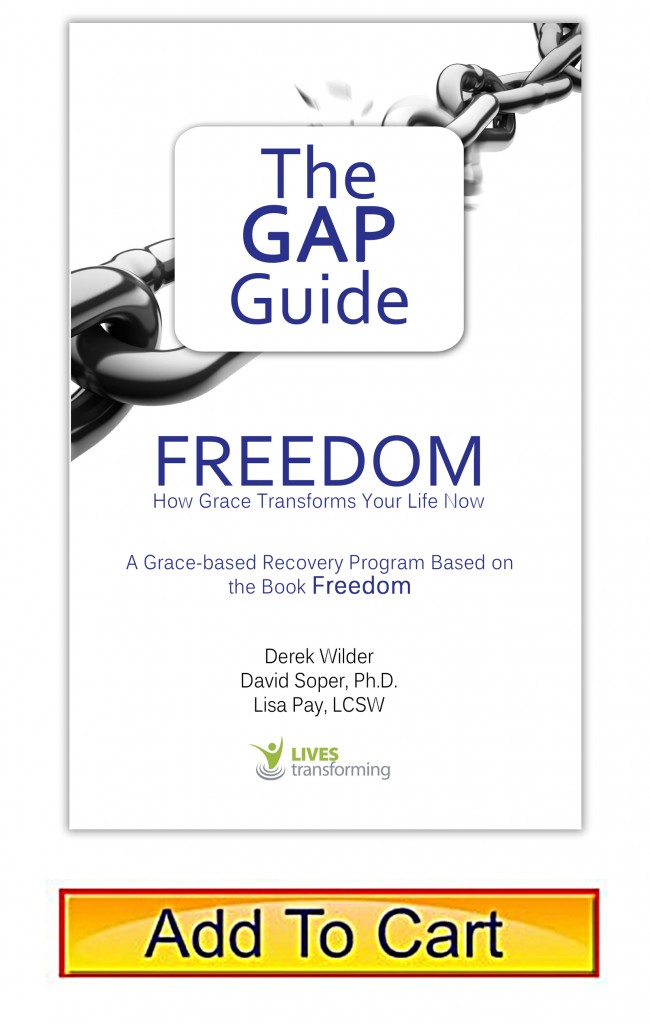 cover22 650x1024 - The GAP Guide