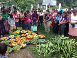 HRI sustainable gardening - Hunger Relief International