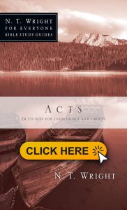 Acts N. T. Wright for Everyone Bible Study Guides 182x300 - Bible Interpretation: Historical Context