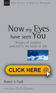 Now My Eyes Have Seen You 182x300 - Genre of Biblical Wisdom Literature