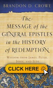 The Message of the General Epistles in the History of Redemption 182x300 - Exegesis of 1 Peter 3.18-22